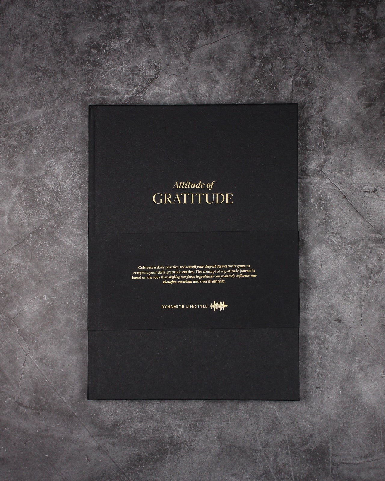 A4 Attitude Of Gratitude Journal